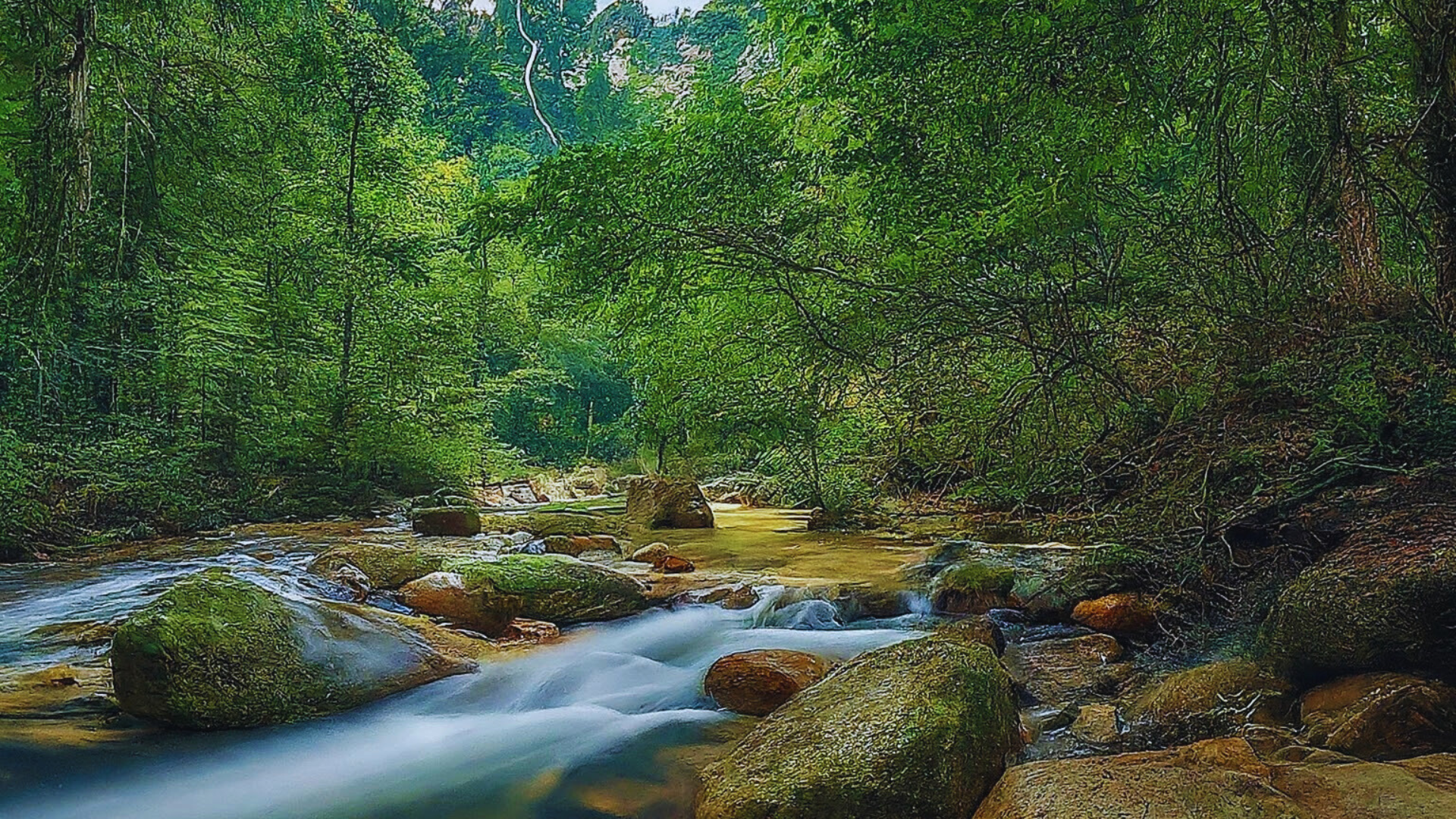 Editors%2 Fimages%2 F1718171357631 Sungai+Pertak+Recreational+Forest