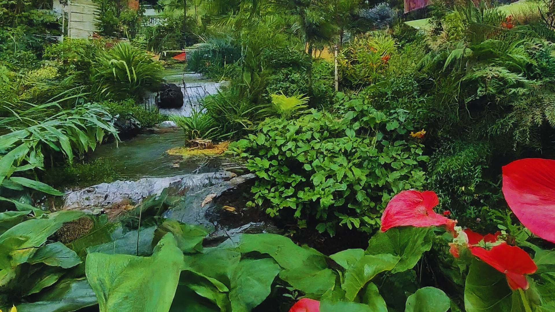 Editors%2 Fimages%2 F1718171604890 Kkb+%284%29