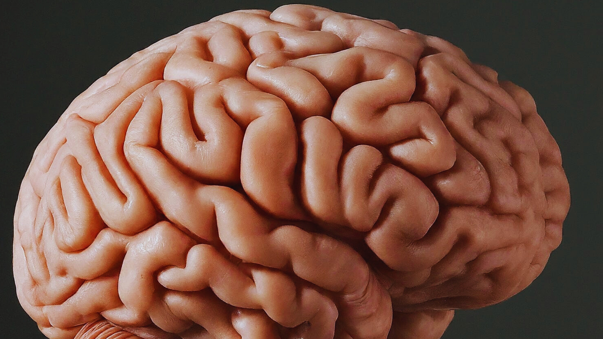 Editors%2 Fimages%2 F1718244985561 The+Psychology+Of+Safe+Driving+%281%29