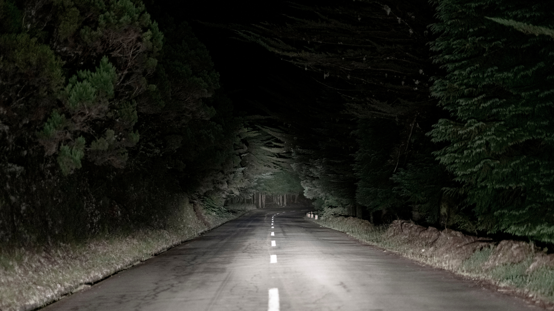 Editors%2 Fimages%2 F1719278695550 Johor+Bahru