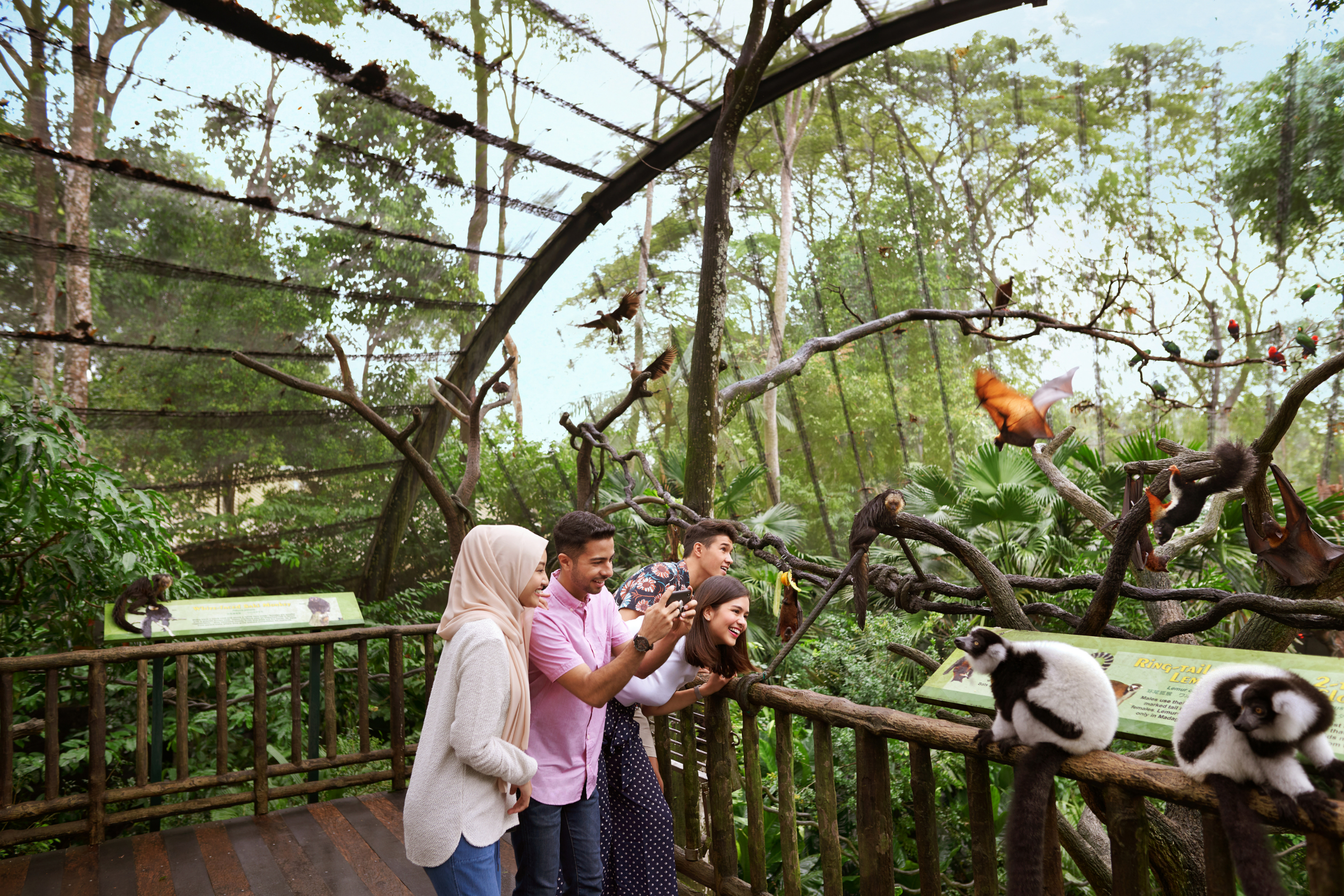 Editors%2 Fimages%2 F1719286813876 Stb Library 2019 Kv1 Zoo 0421 Fotor 20240625113947