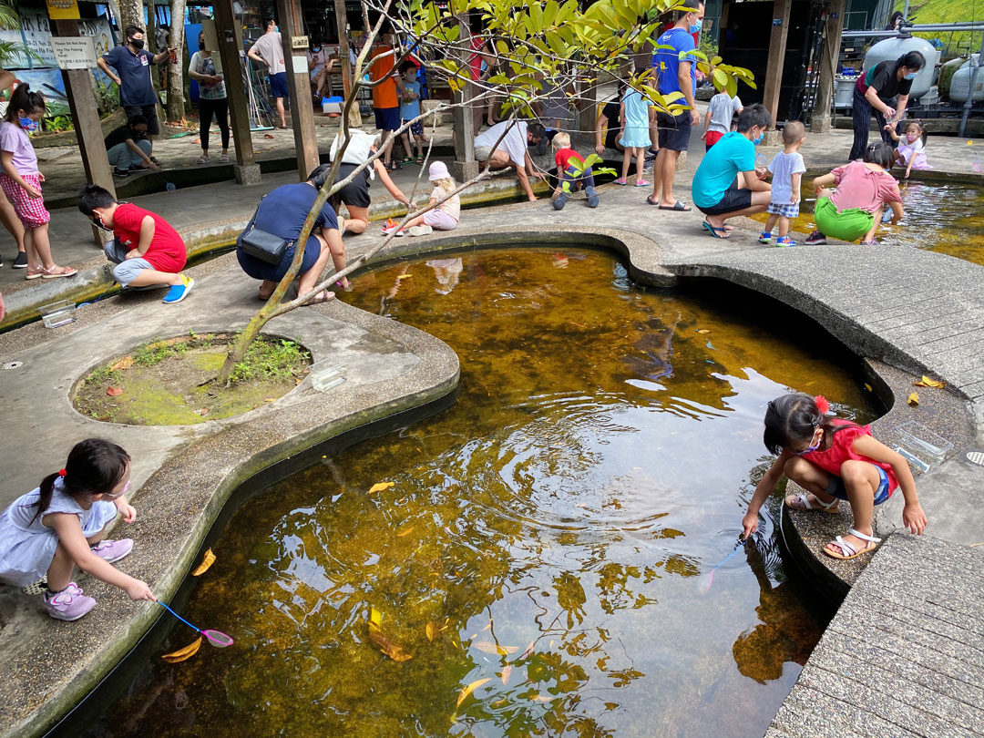 Editors%2 Fimages%2 F1719298537127 Fish+Fram+%28sunny+Kids%29