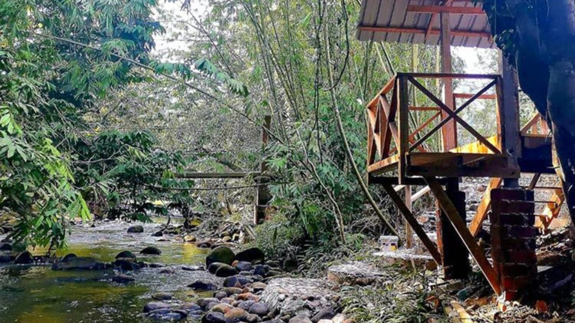 Editors%2 Fimages%2 F1719820156214 Diesel+%282%29