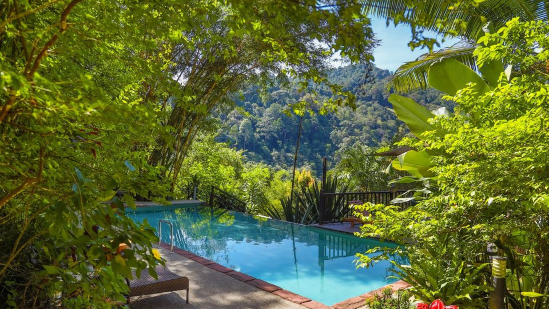 Editors%2 Fimages%2 F1719820277002 Diesel+%283%29