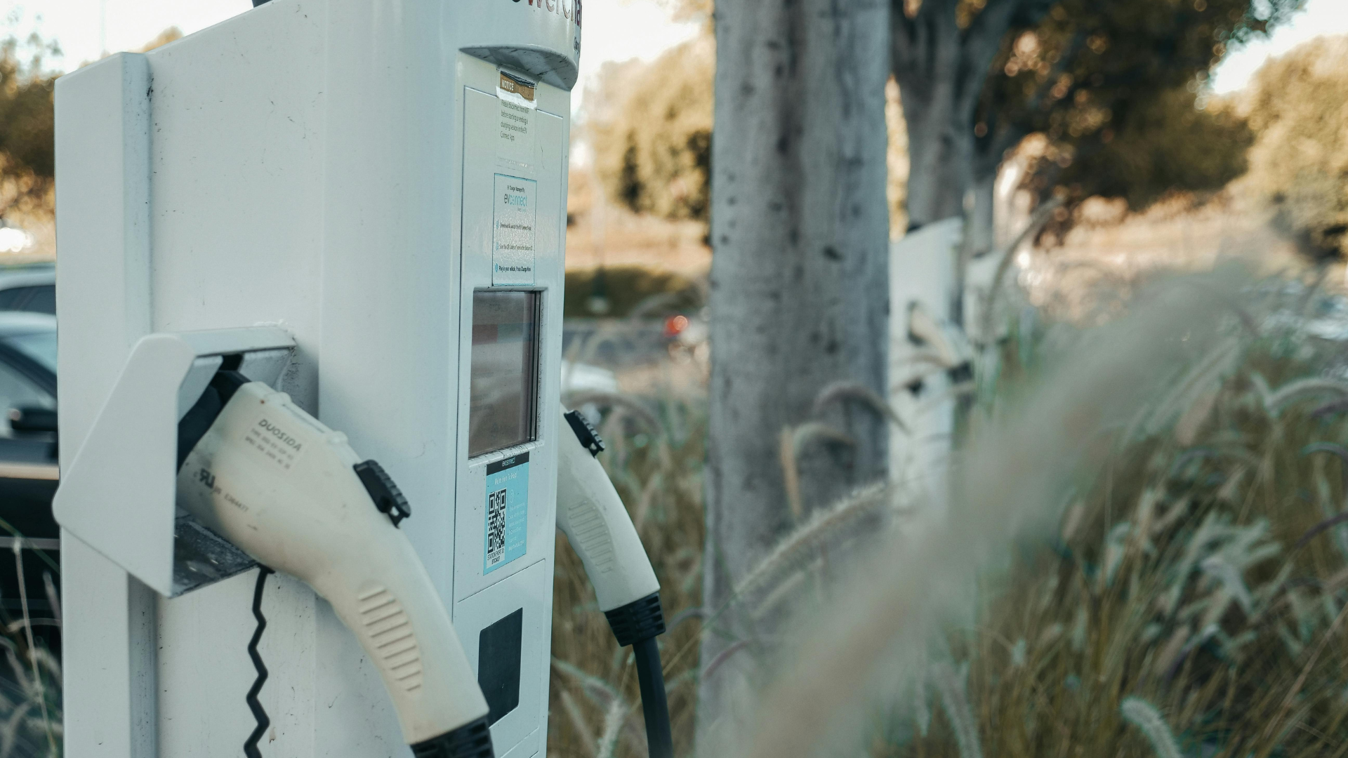 Editors%2 Fimages%2 F1721024352619 Ev+%281%29