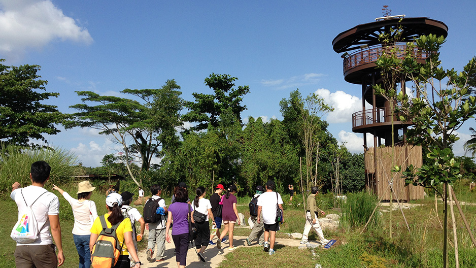 Editors%2 Fimages%2 F1722910134447 Kranji Marshes Hero Nature Walk Tower