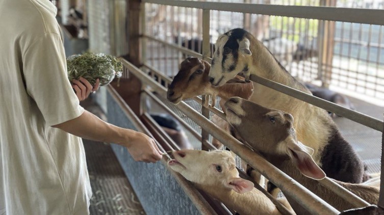 Editors%2 Fimages%2 F1723097382984 Hay