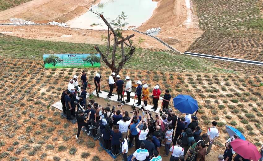 Editors%2 Fimages%2 F1723538713922 Nexv Manufacturing Esg Tree 850x522