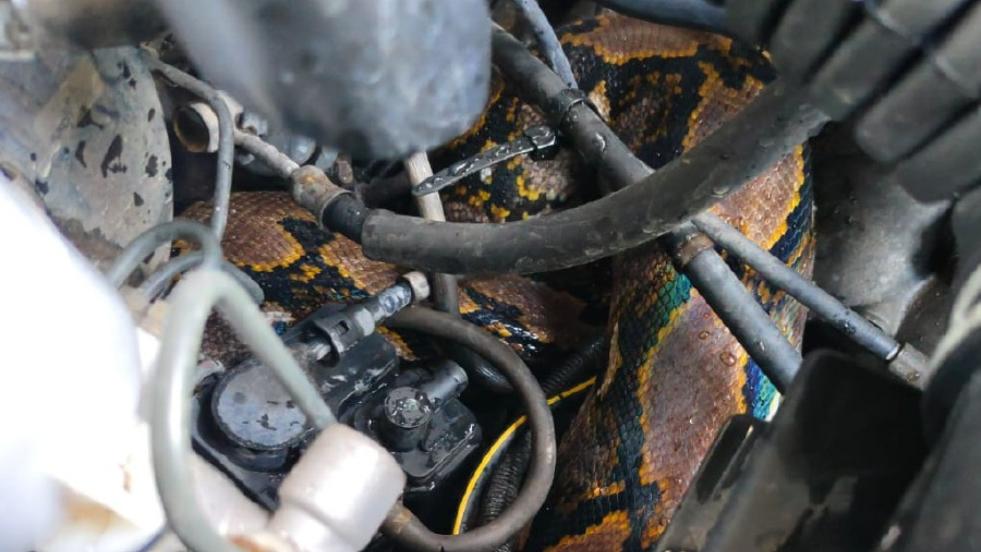 Editors%2 Fimages%2 F1724050768553 Untitled+Design+%287%29