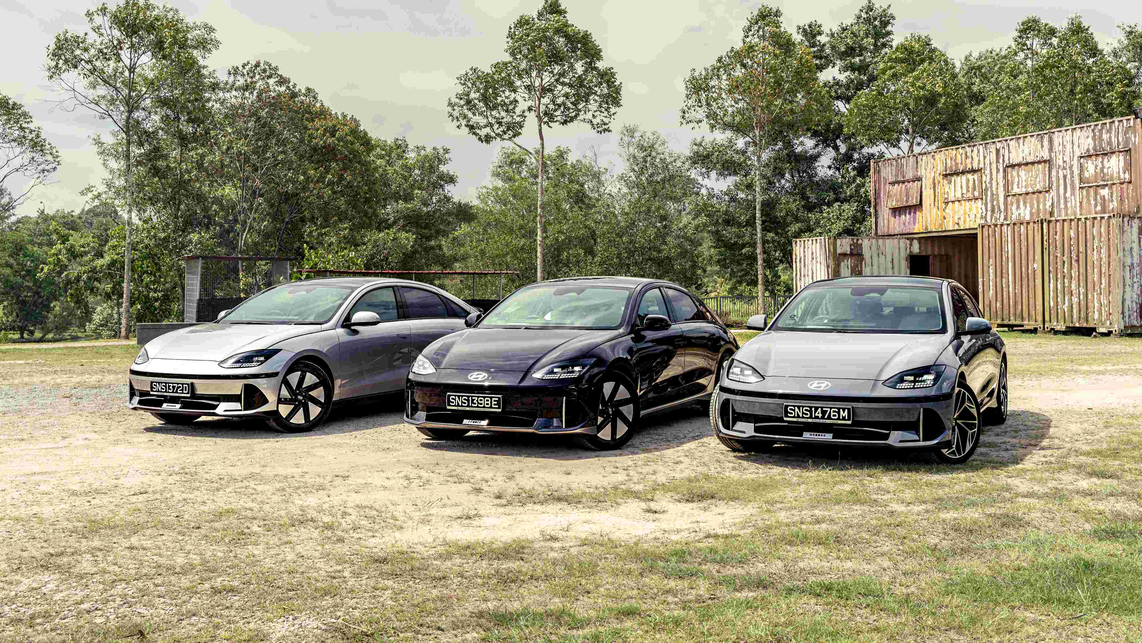 Editors%2 Fimages%2 F1731244137935  Tft7733 Fotor