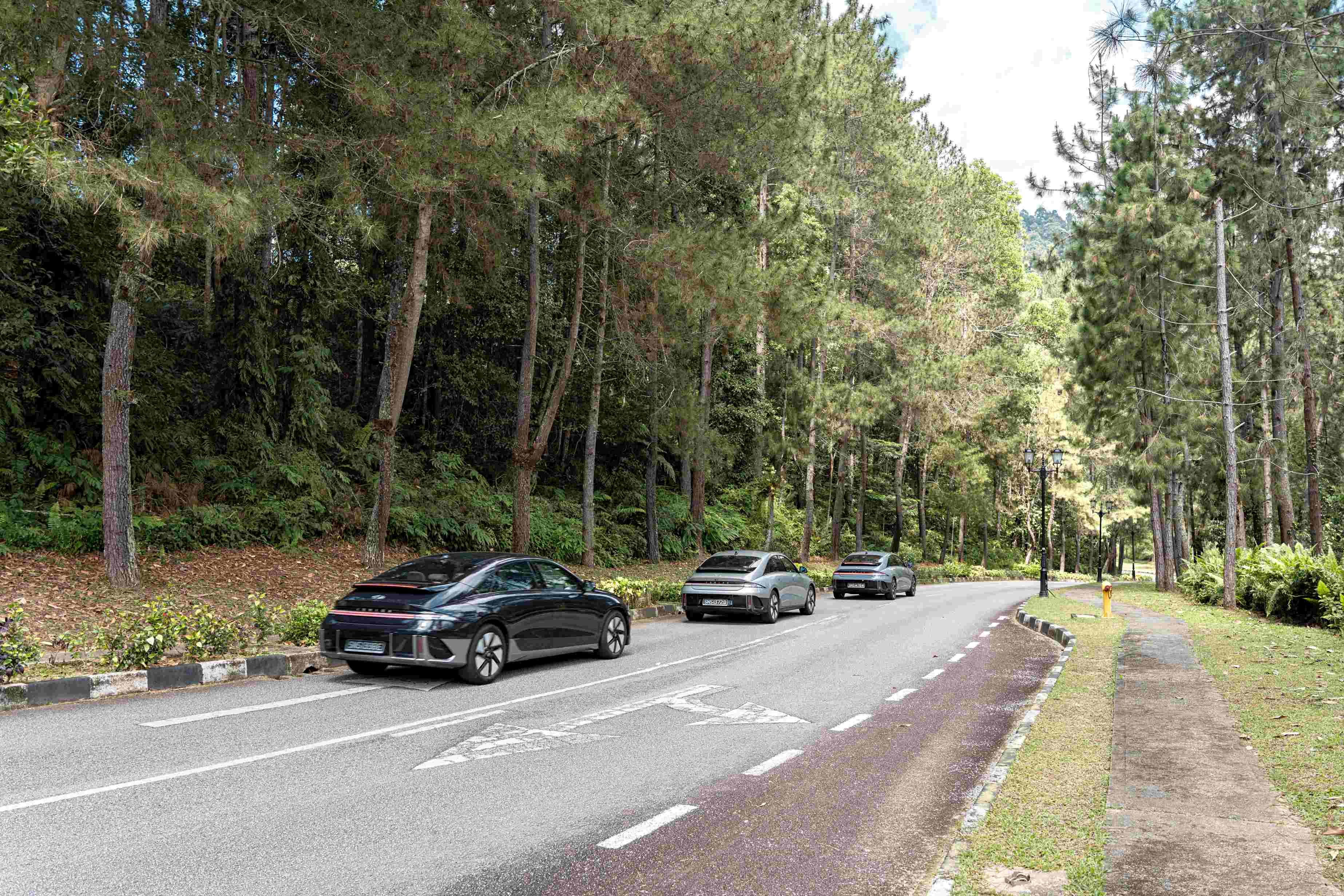 Editors%2 Fimages%2 F1731244290140  Tft7397 Fotor