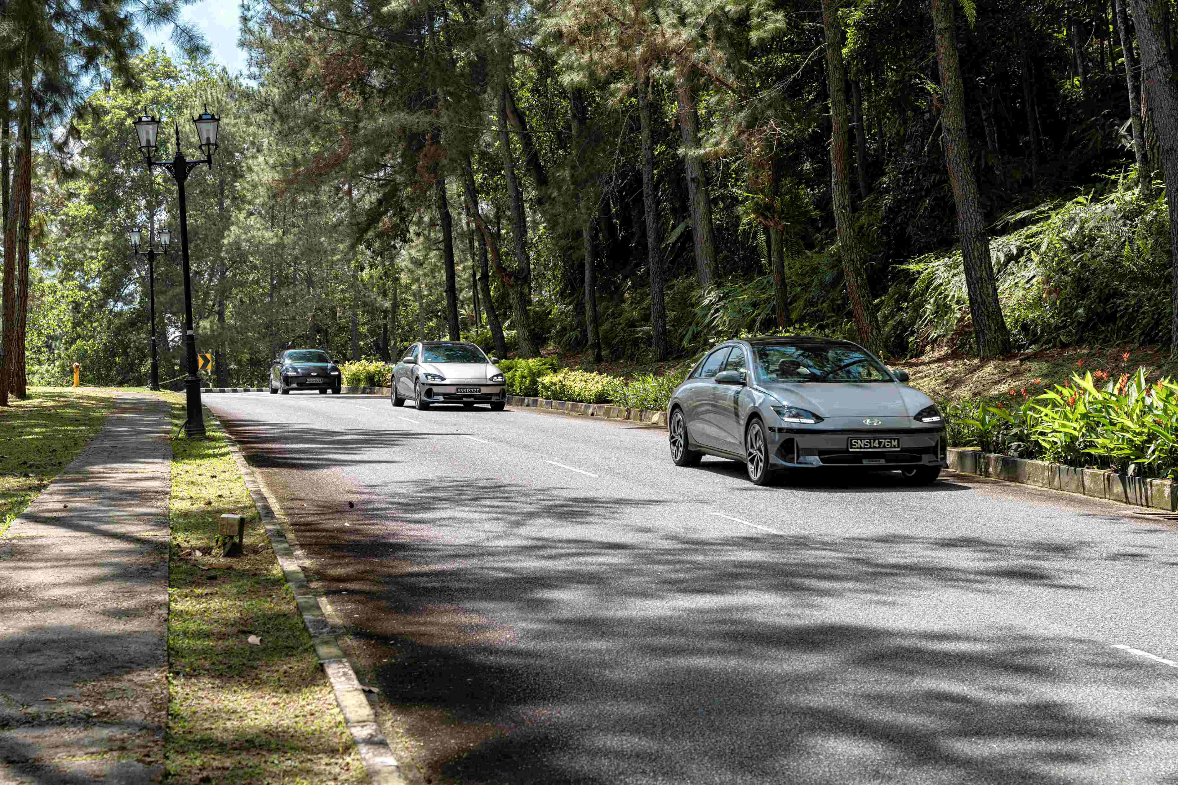 Editors%2 Fimages%2 F1731244557120  Tft7319 Fotor