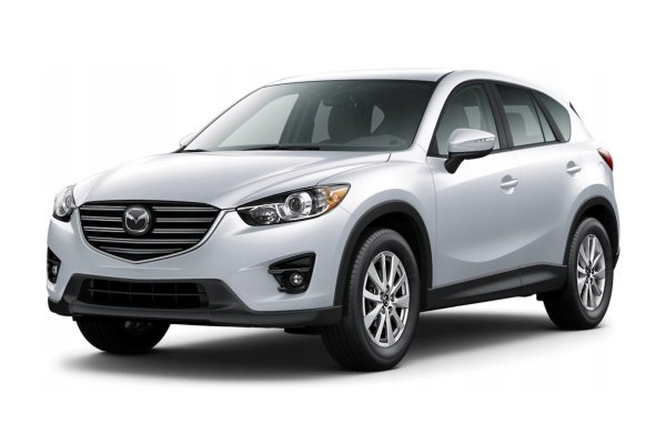 Editors%2 Fimages%2 F1731918430518 1731918430518