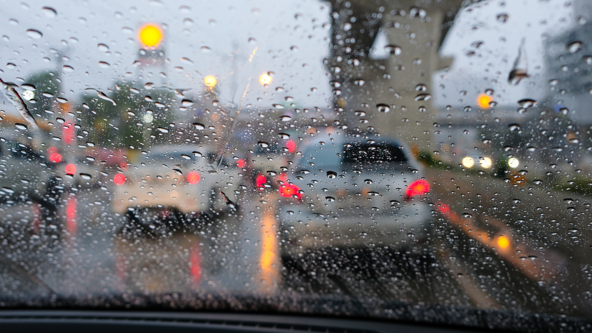 Editors%2 Fimages%2 F1731986551755 1731986551755