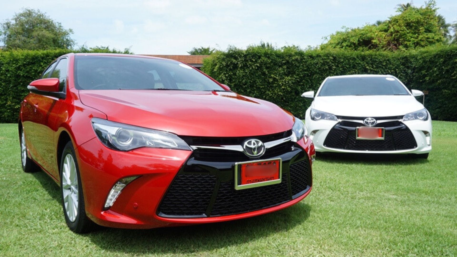 Editors%2 Fimages%2 F1731990148703 Cccc+%282%29