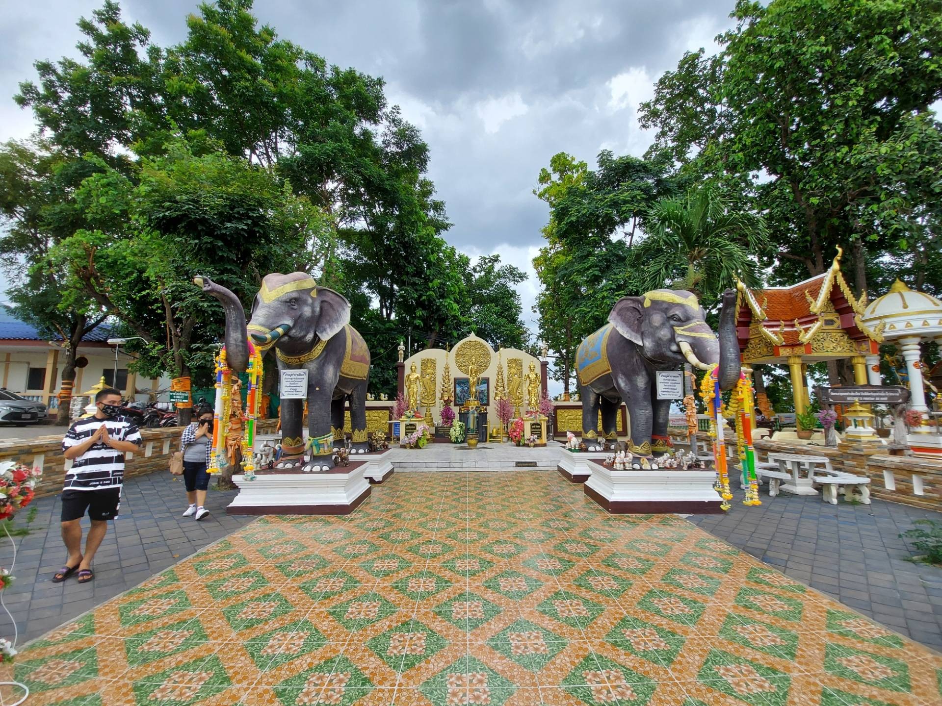 Editors%2 Fimages%2 F1732162904600 Img 2020