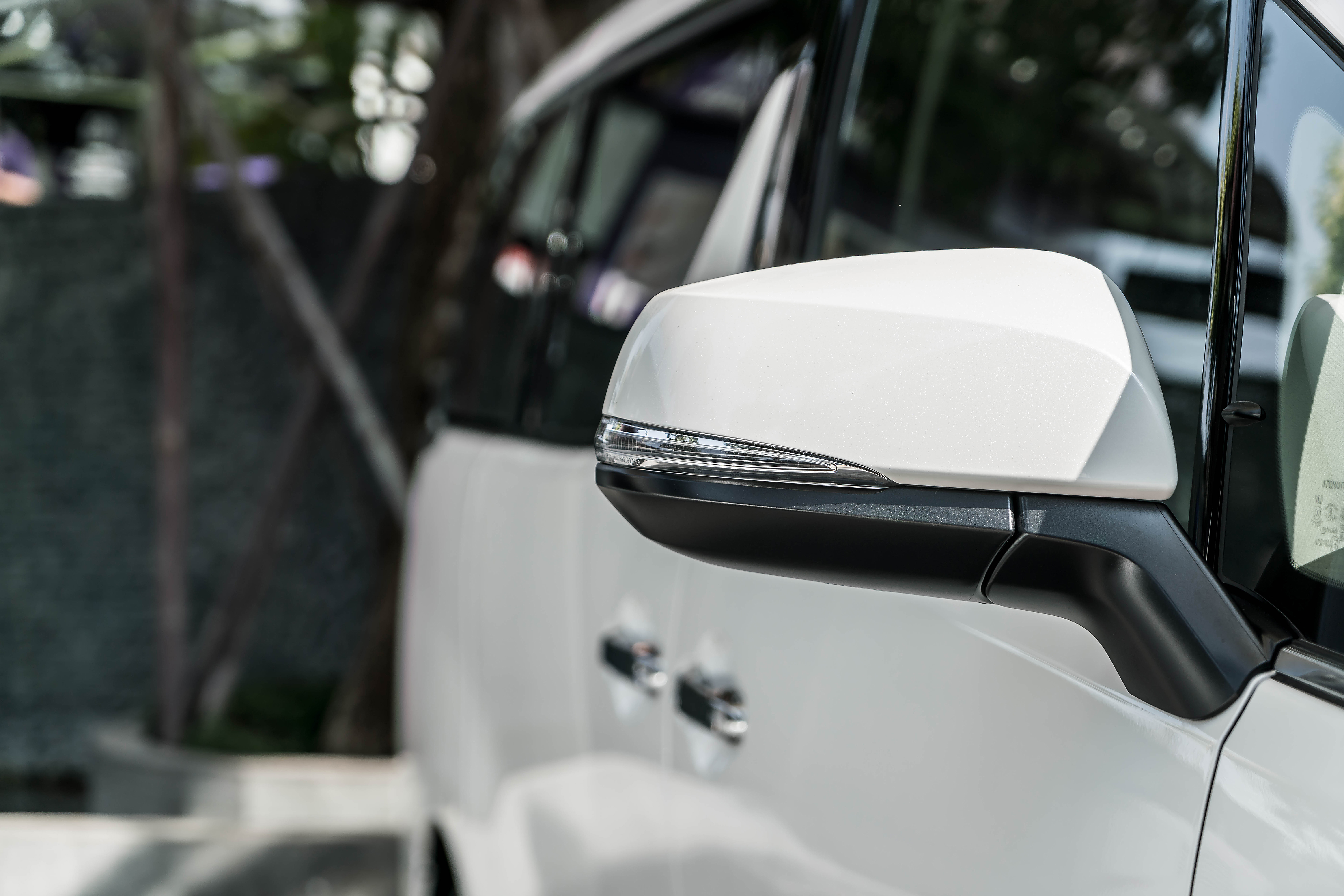 Editors%2 Fimages%2 F1732172959242 Img 2043