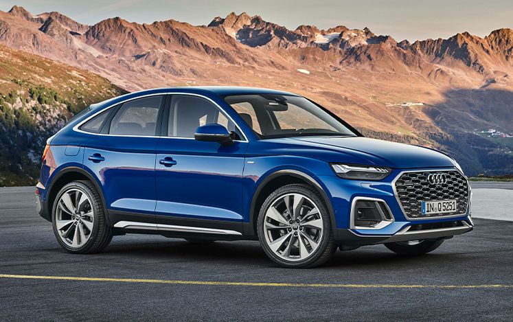 Editors%2 Fimages%2 F1732245330319 1732245330319