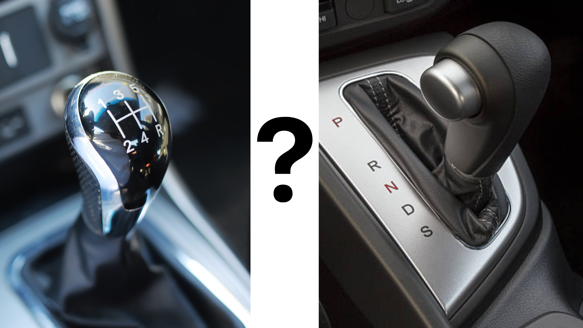 Editors%2 Fimages%2 F1732262249364 1732262249364