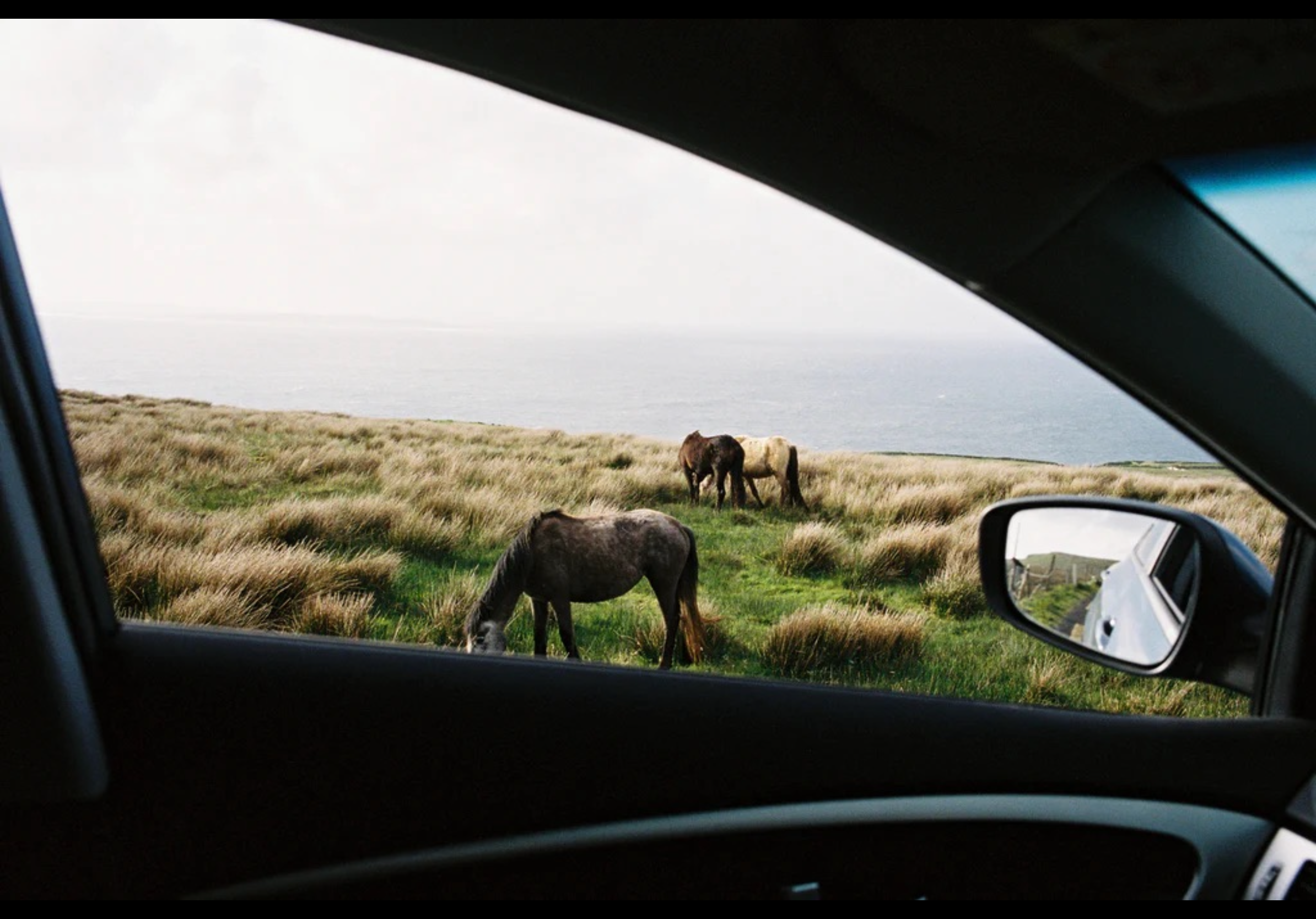 Editors%2 Fimages%2 F1732609836309 Img 2057