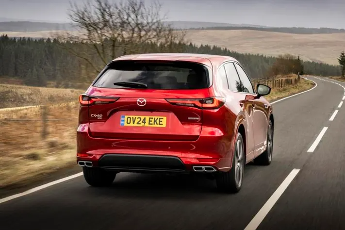 Editors%2 Fimages%2 F1732686263157 1732686263157