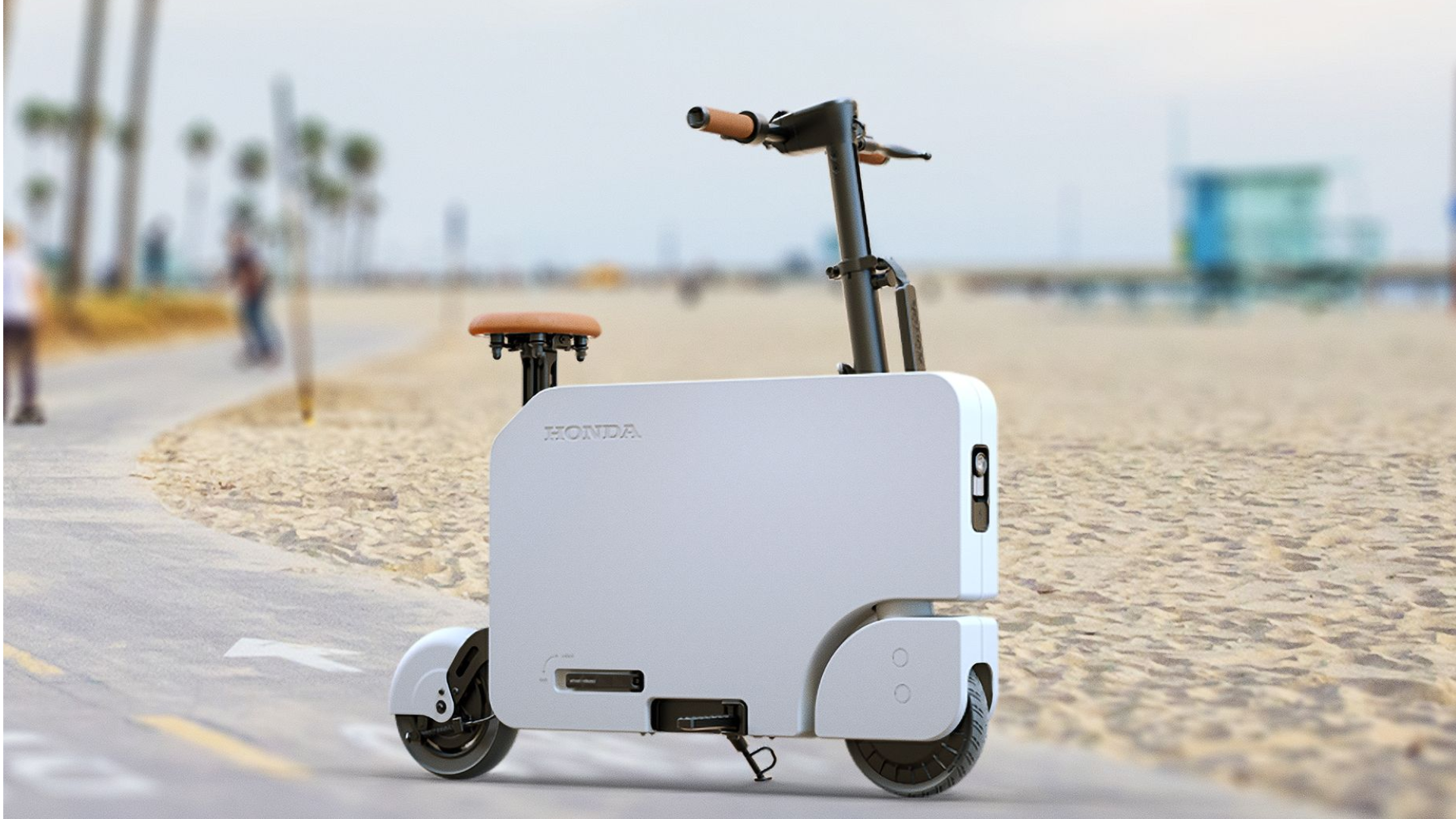 Editors%2 Fimages%2 F1732772030817 1732772030817