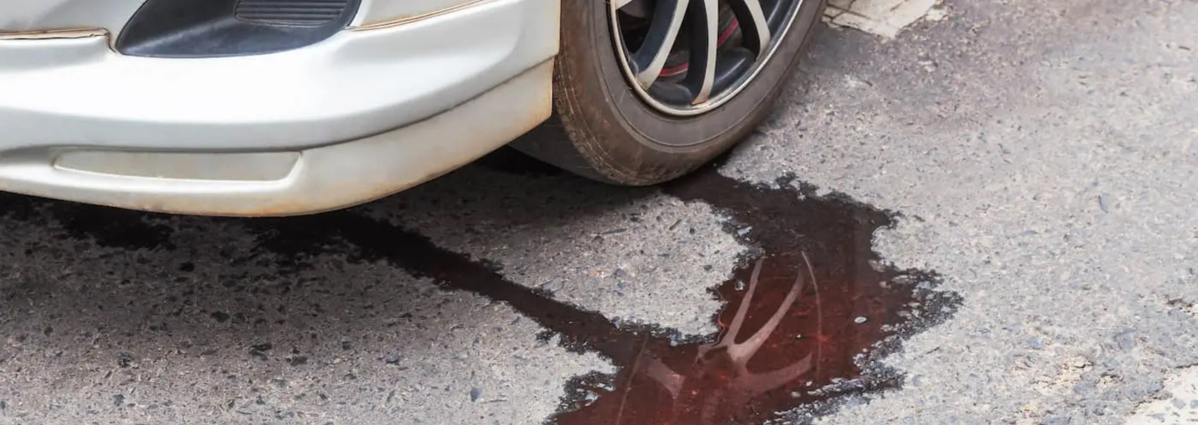 Editors%2 Fimages%2 F1732863430162 Img 2065