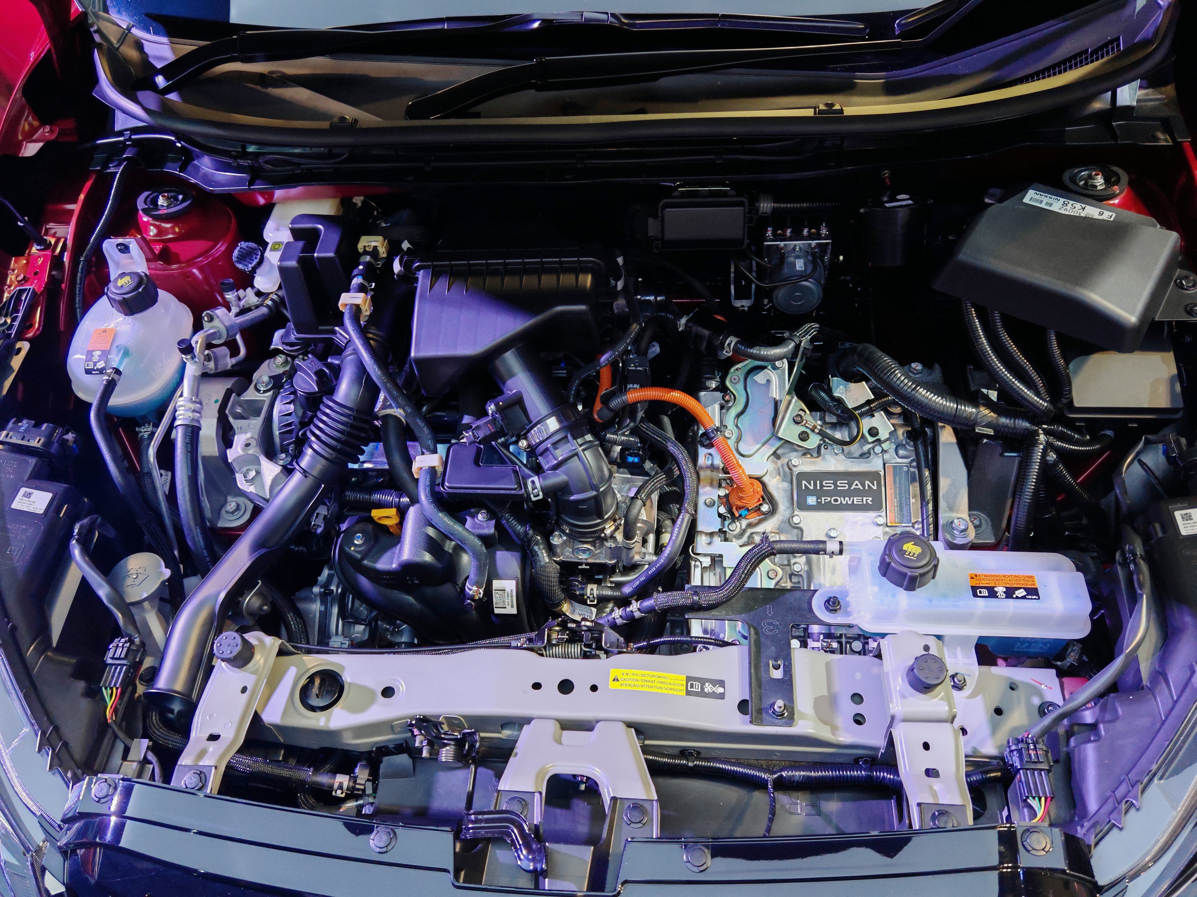 Editors%2 Fimages%2 F1733391212505 1733391212505