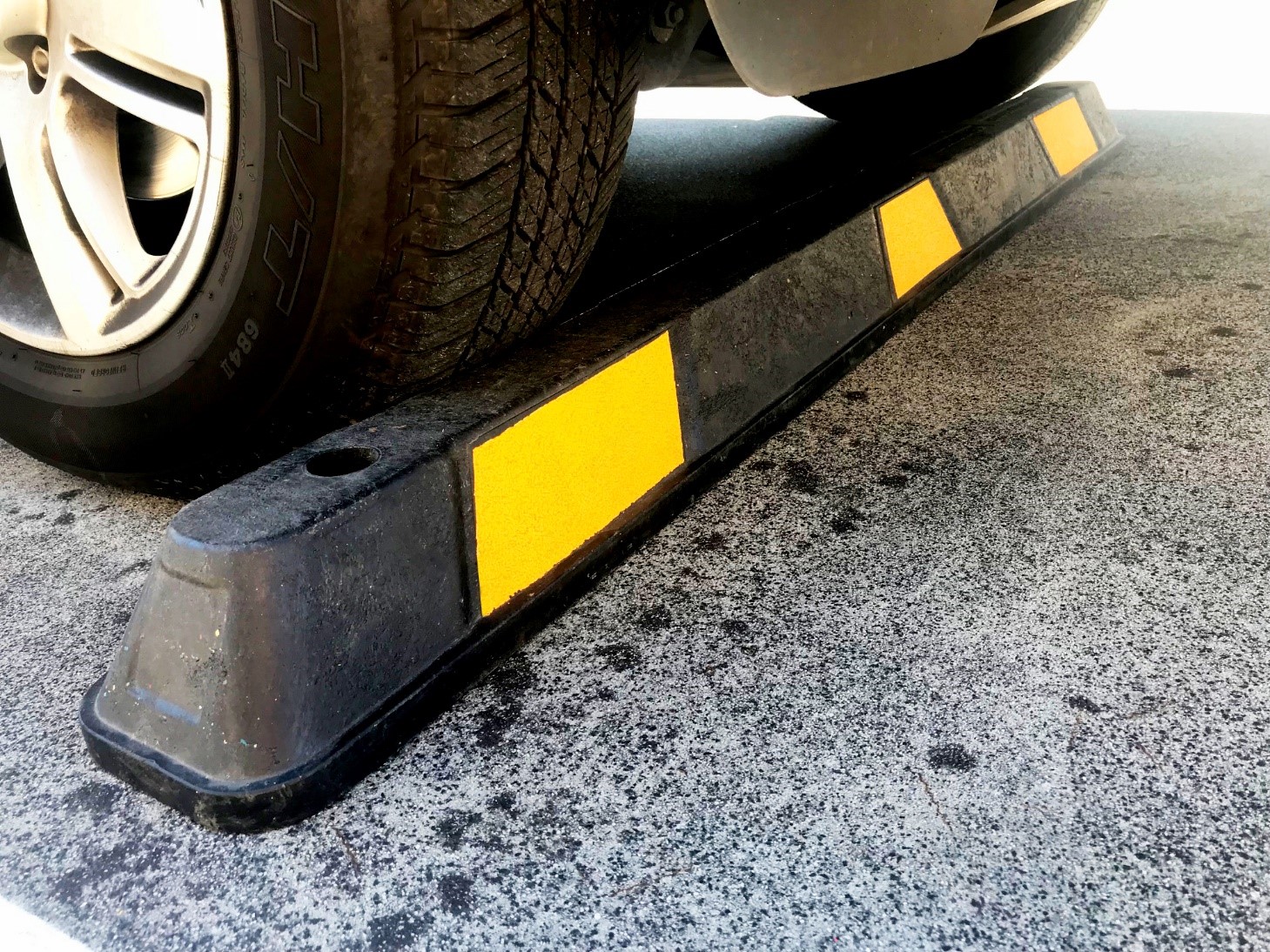 Editors%2 Fimages%2 F1733715568507 Img 2088