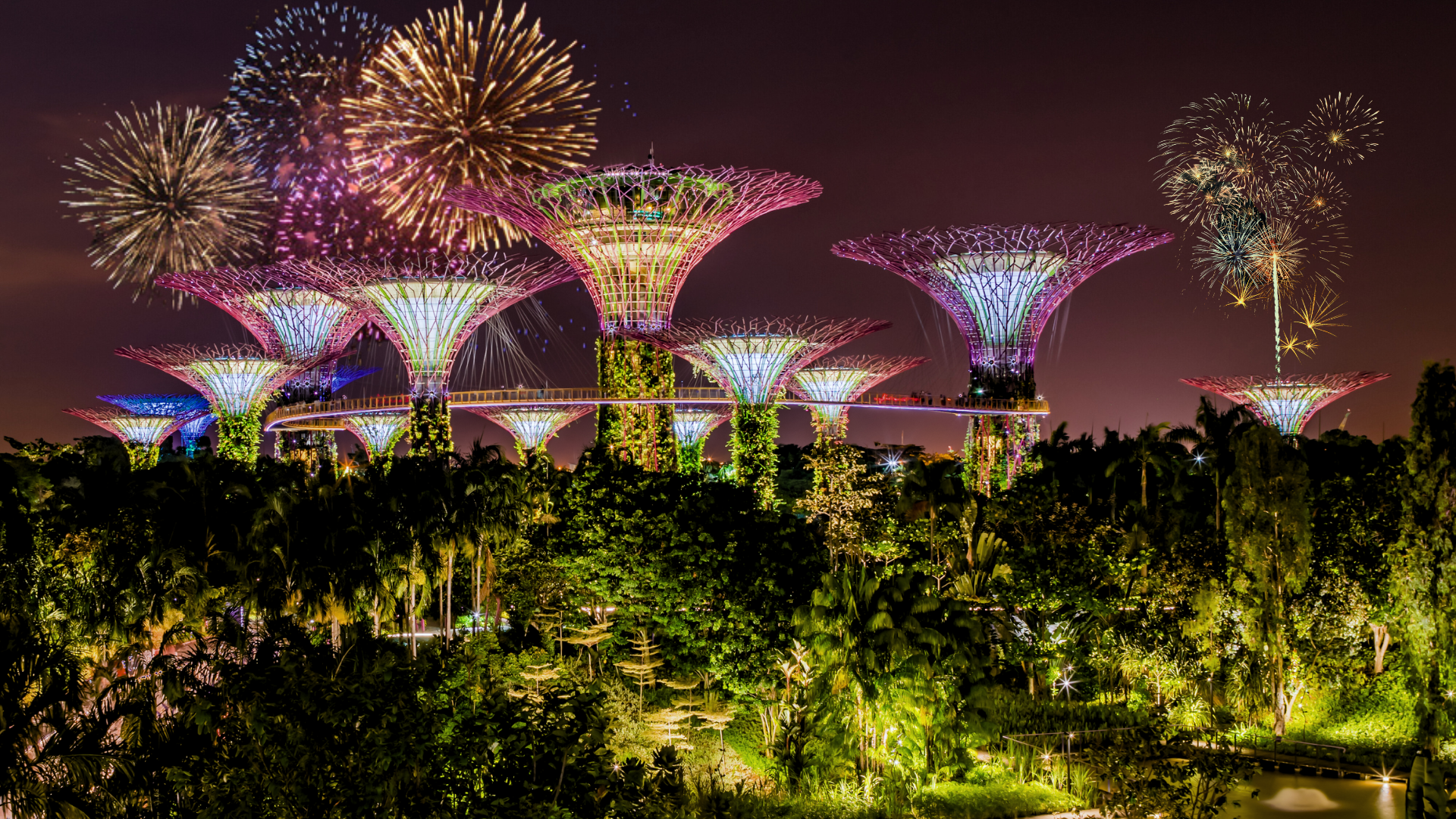 Editors%2 Fimages%2 F1733989713120 Untitled+Design+%282%29