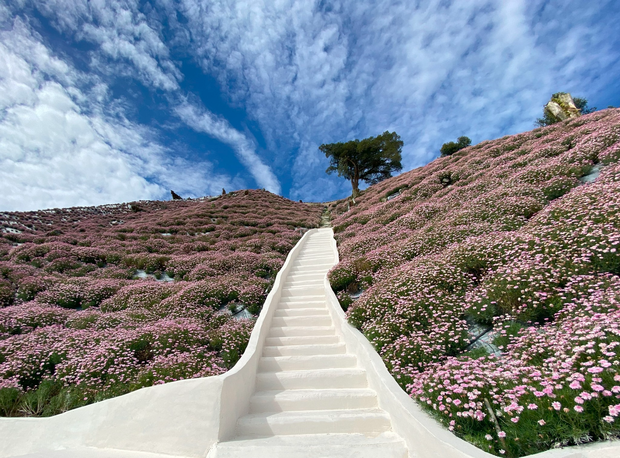 Editors%2 Fimages%2 F1734058562474 1734058562474