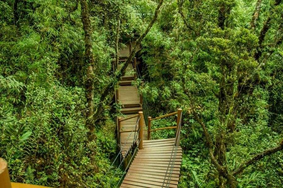 Editors%2 Fimages%2 F1734058597363 1734058597363