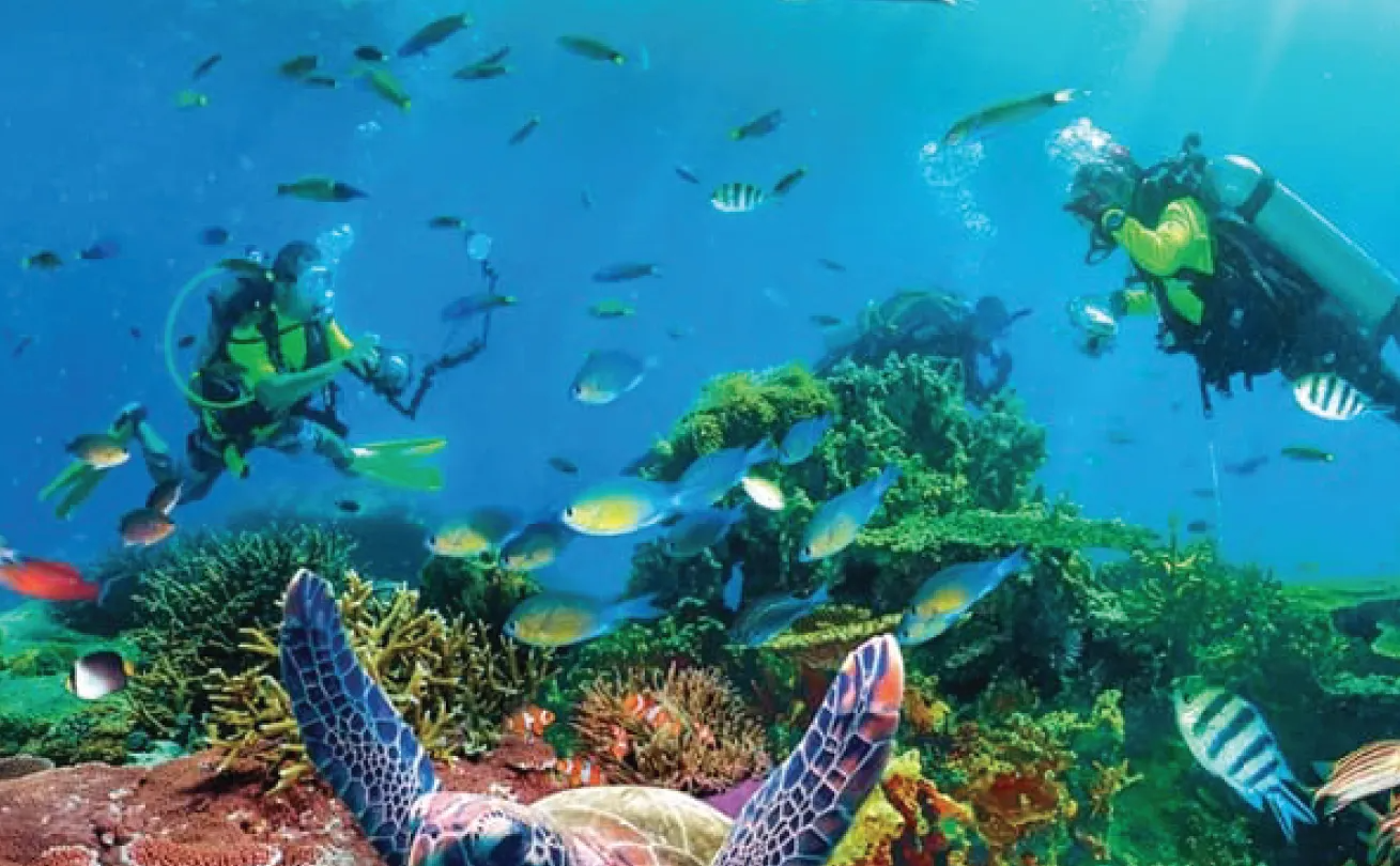 Editors%2 Fimages%2 F1734058737287 1734058737287