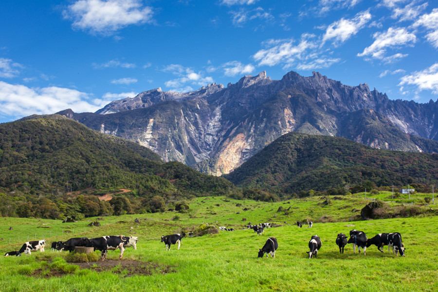 Editors%2 Fimages%2 F1734059514347 1734059514347