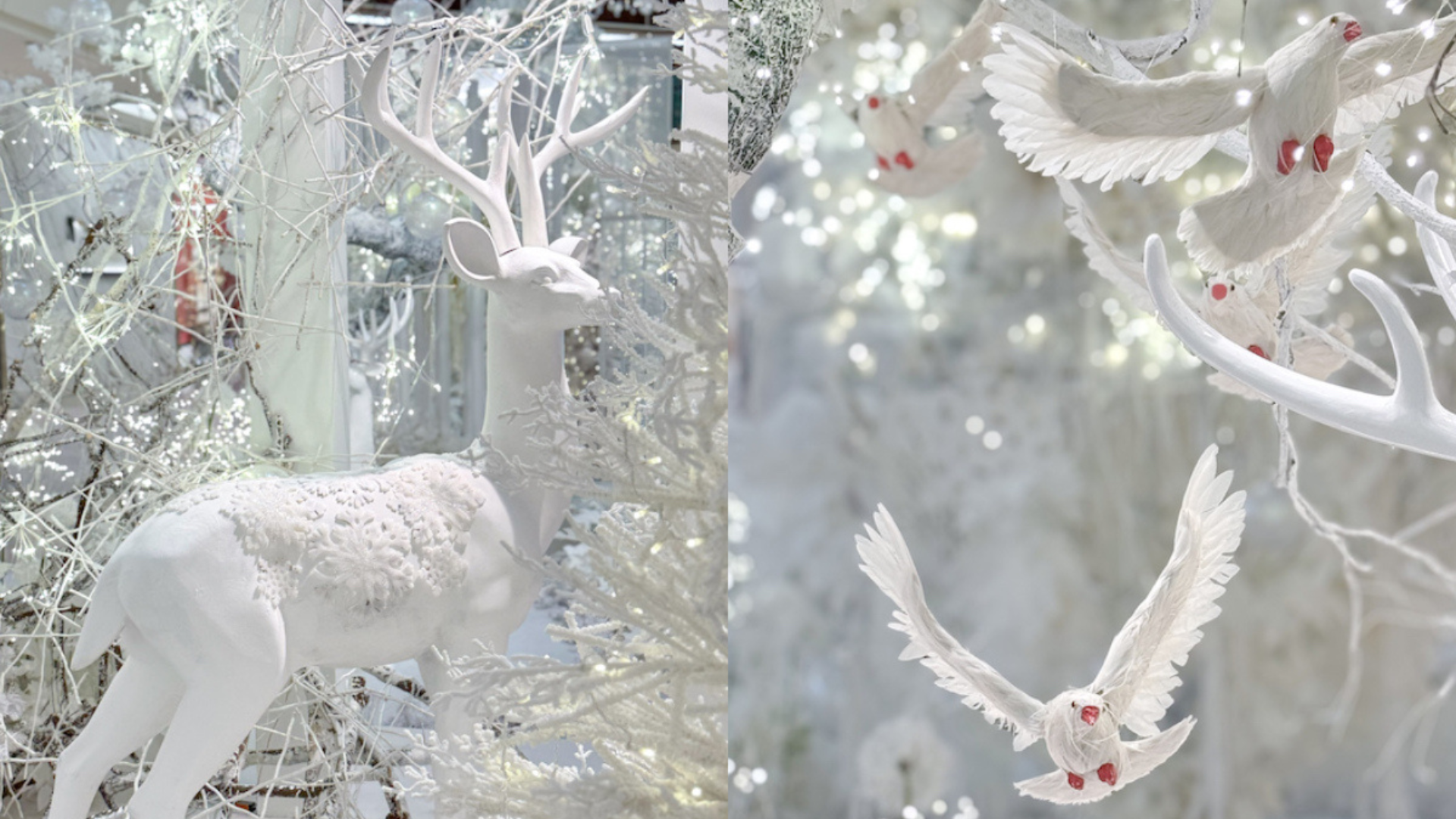 Editors%2 Fimages%2 F1734078151259 Xmas+Cover