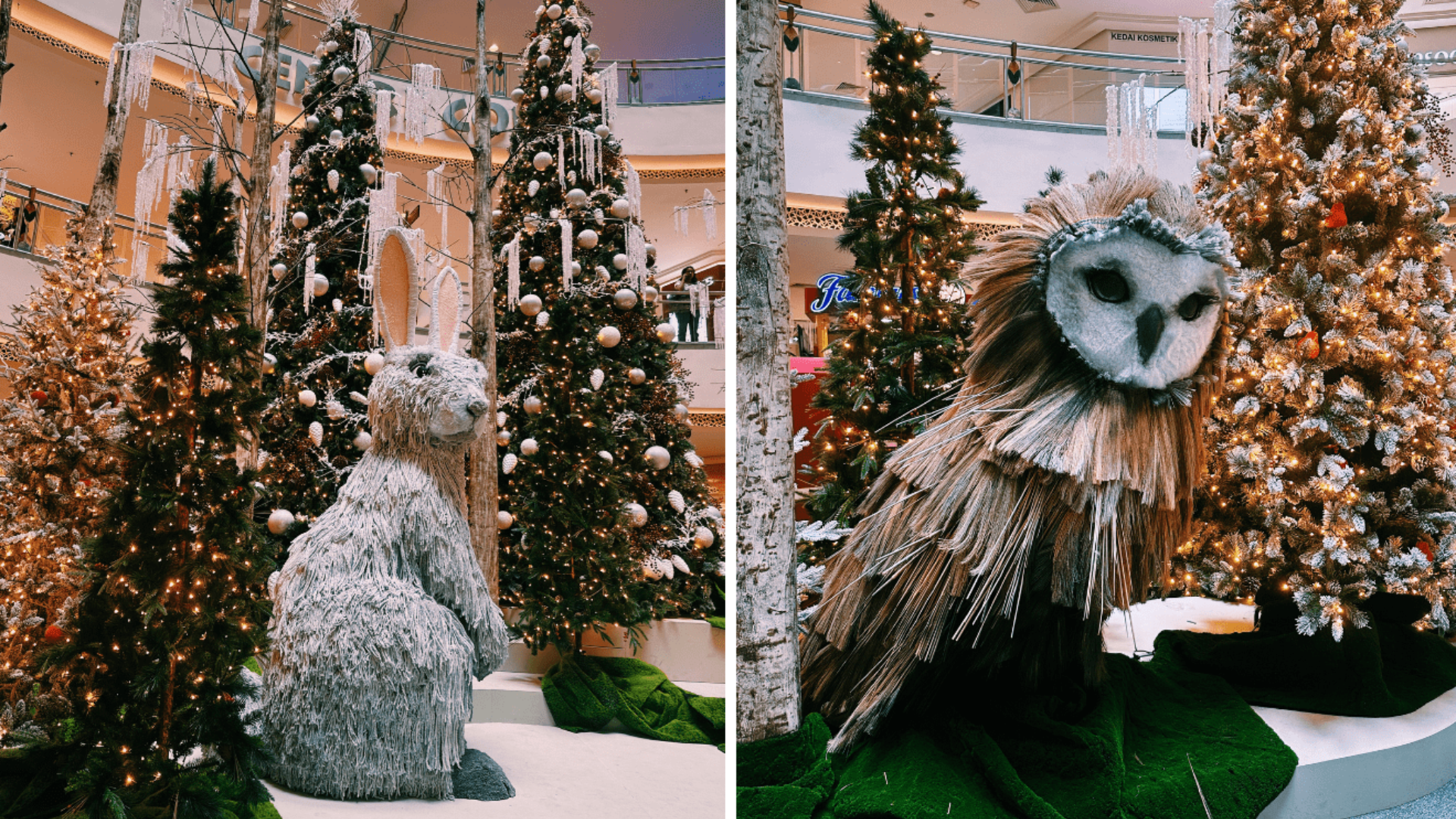 Editors%2 Fimages%2 F1734083535008 Mid+Val+Xmas