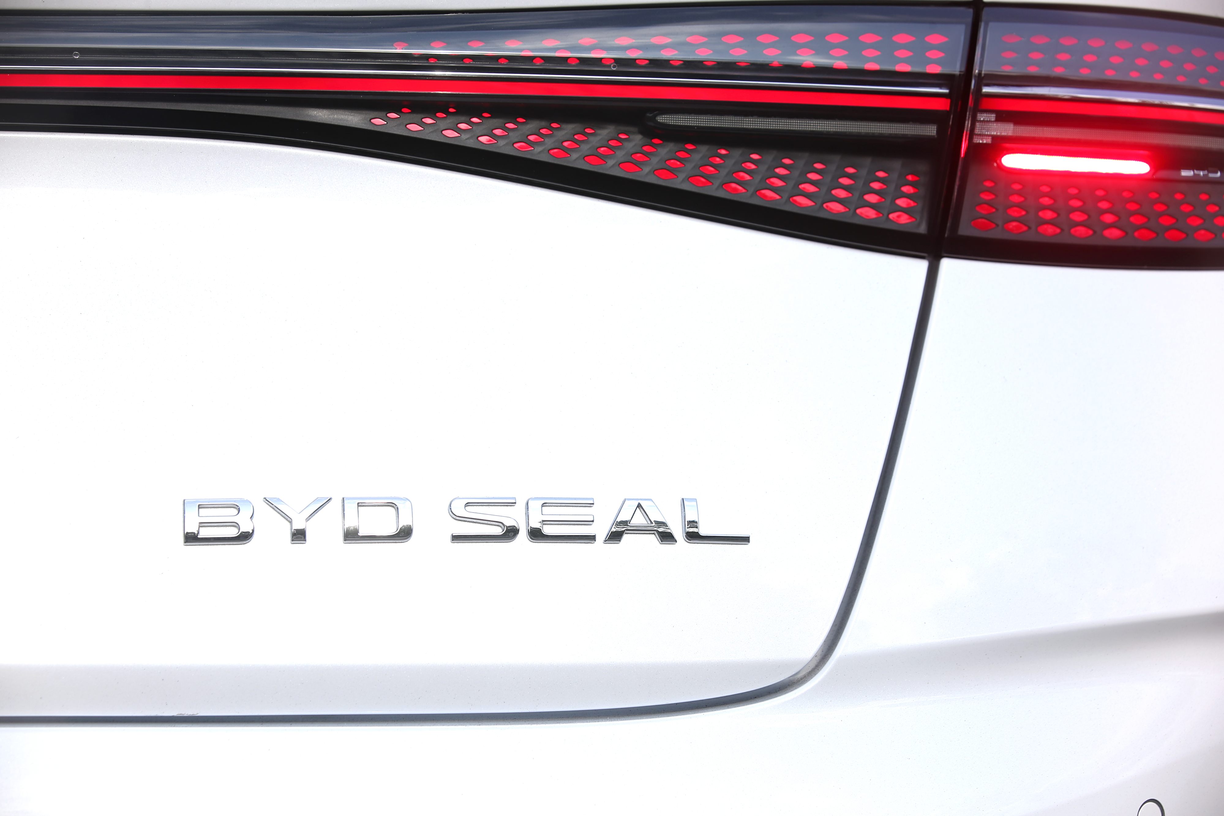 Editors%2 Fimages%2 F1734442976021 D38 V7984 Fotor