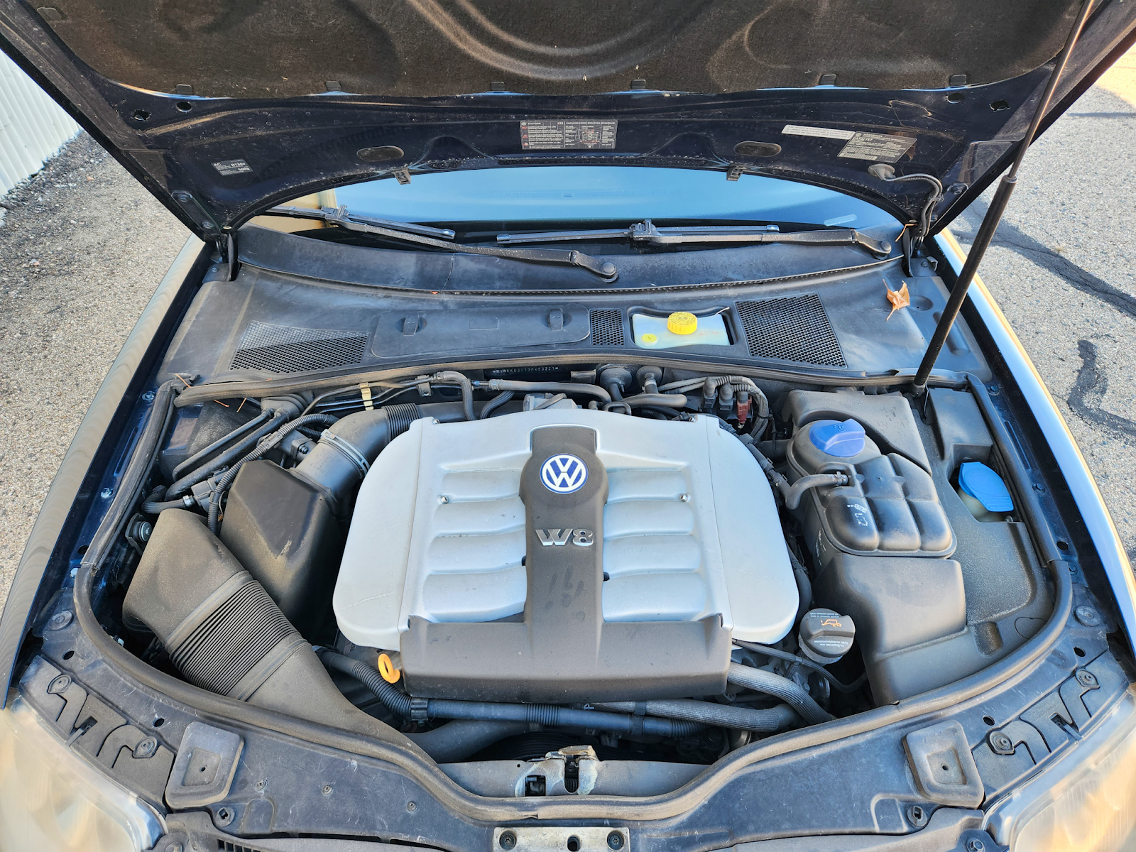 Editors%2 Fimages%2 F1735019139431 1735019139430