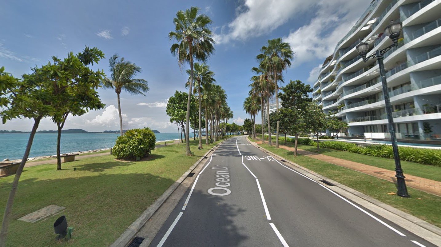 Editors%2 Fimages%2 F1735133865484 Editors Images 1722910778260 Oceandr