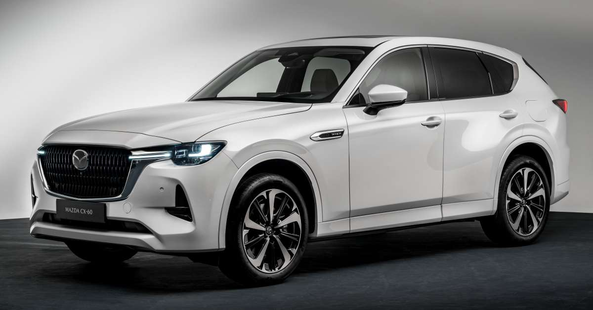 Editors%2 Fimages%2 F1735266137292 1735266137292