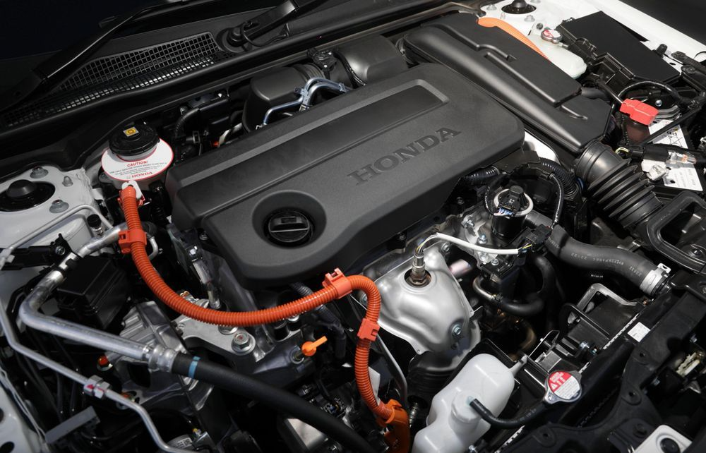 Editors%2 Fimages%2 F1736405717279 1736405717279