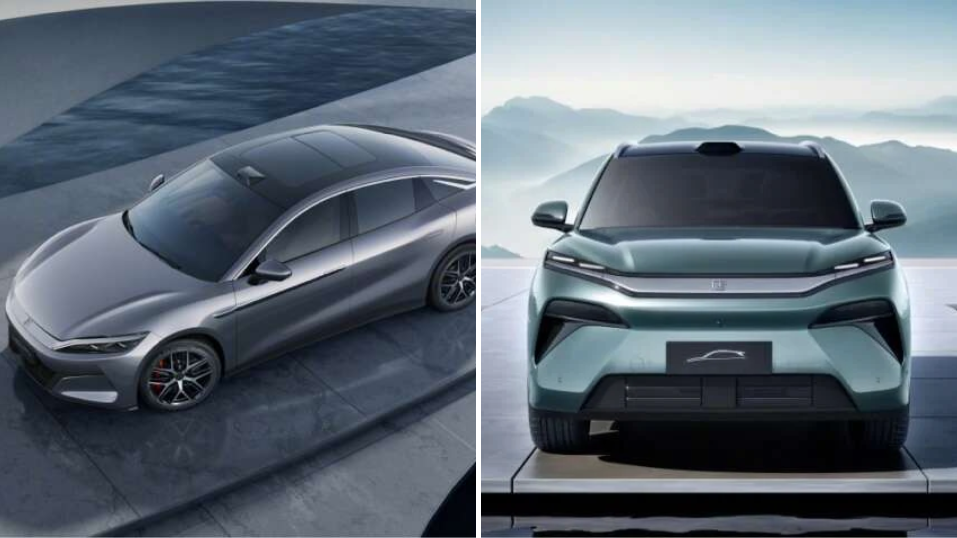 Editors%2 Fimages%2 F1737433336737 1737433336736