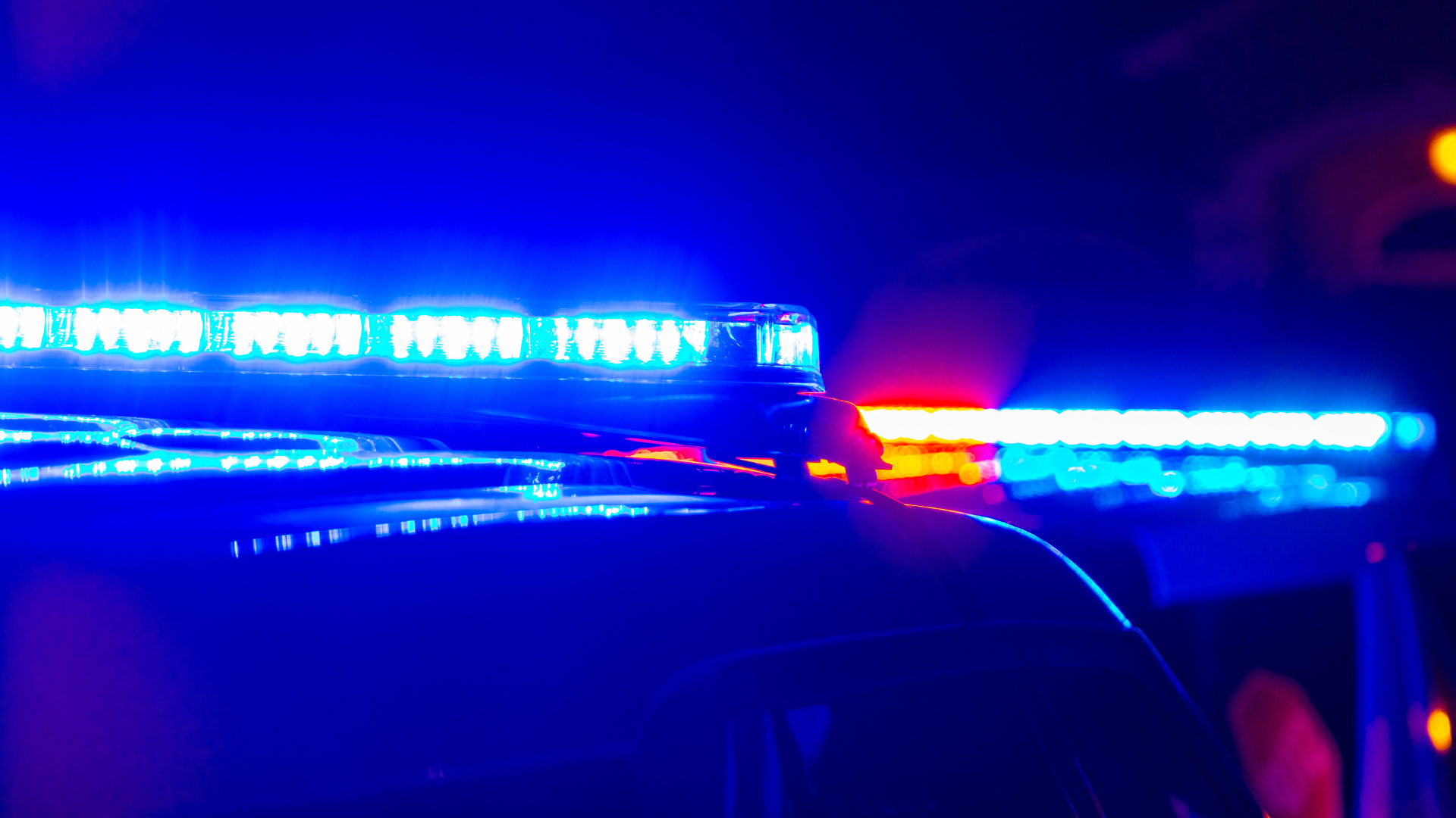 Editors%2 Fimages%2 F1737513443471 Laws+%281%29