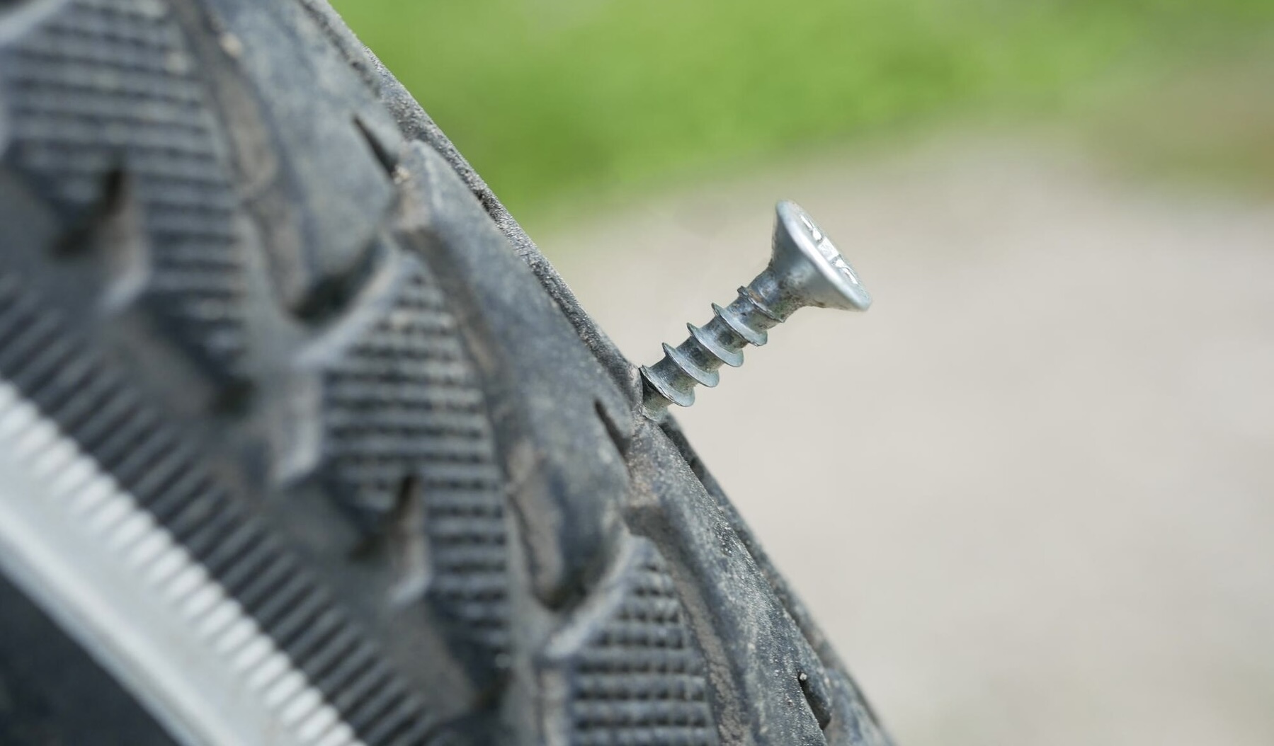 Editors%2 Fimages%2 F1737517805913 Img 2069