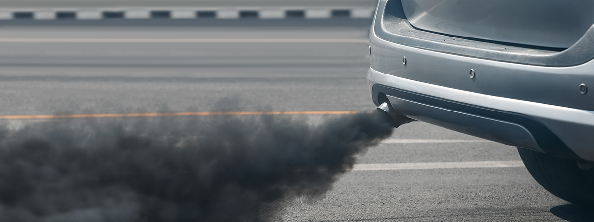 Editors%2 Fimages%2 F1738744344289 Img 2299