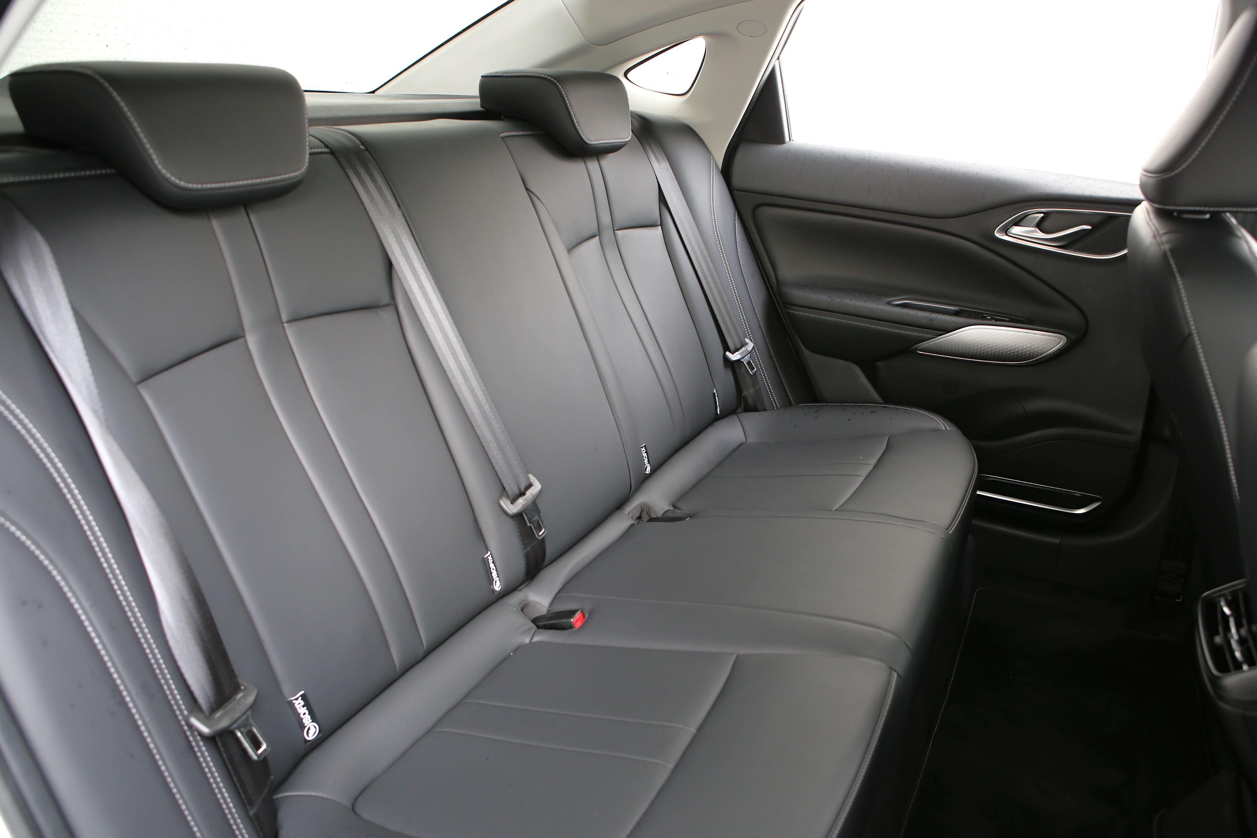 Editors%2 Fimages%2 F1739347492822 D38 V9335 Fotor