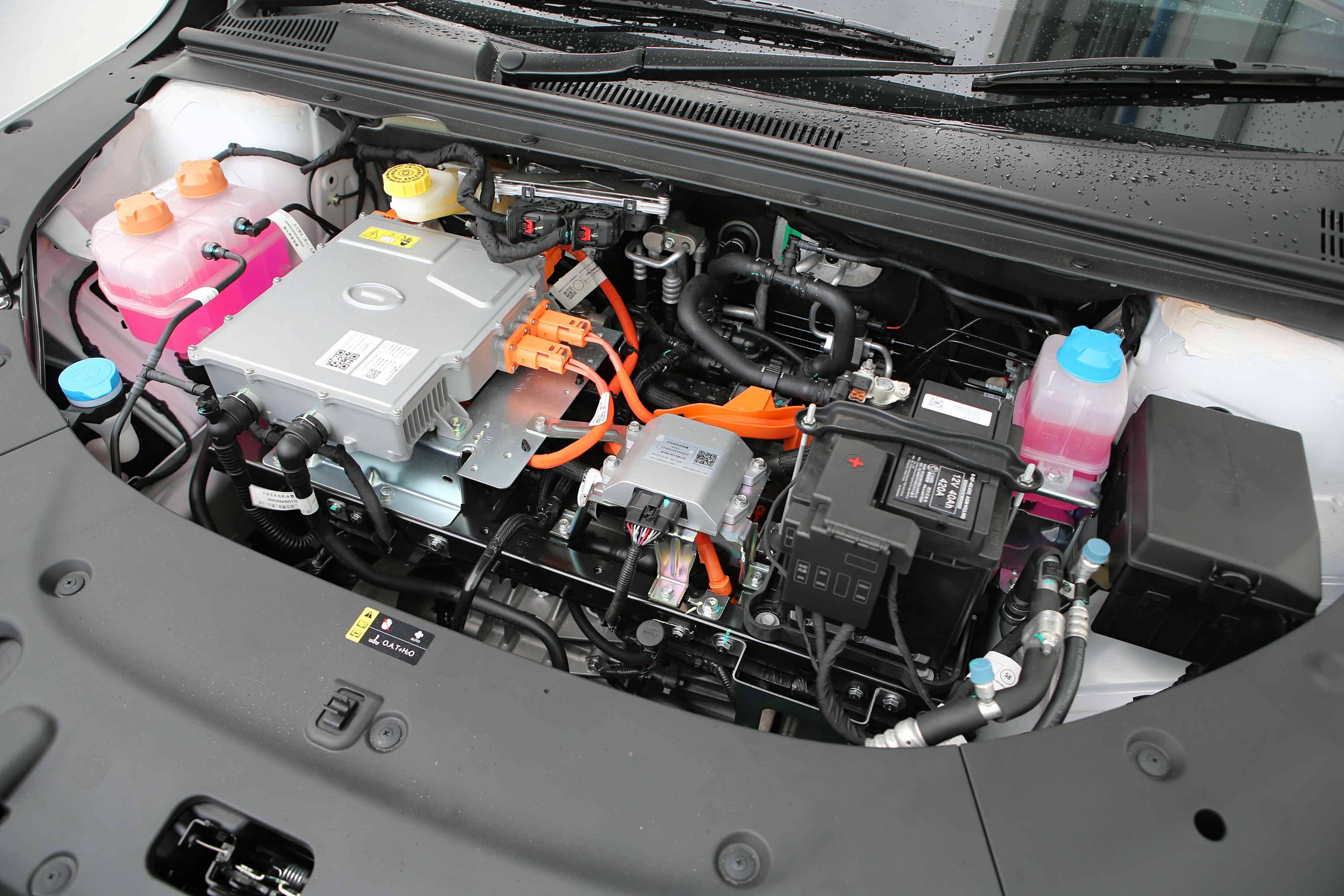 Editors%2 Fimages%2 F1739347709987 D38 V9351 Fotor