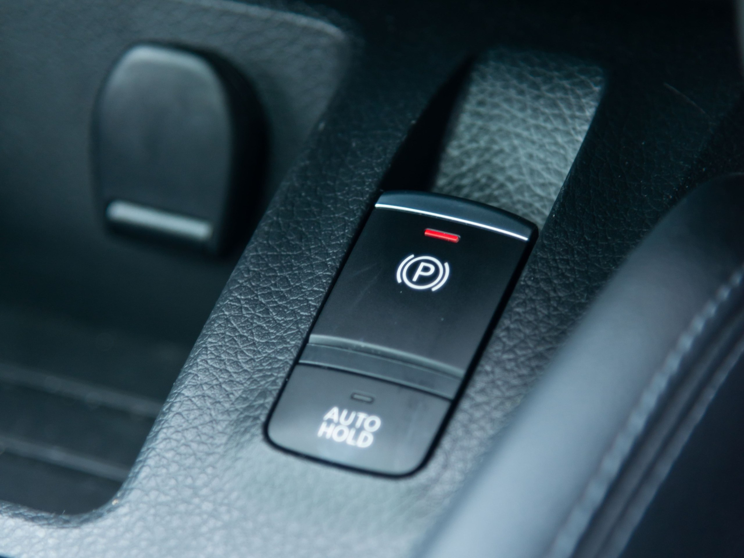 Editors%2 Fimages%2 F1740457147326 Img 2416