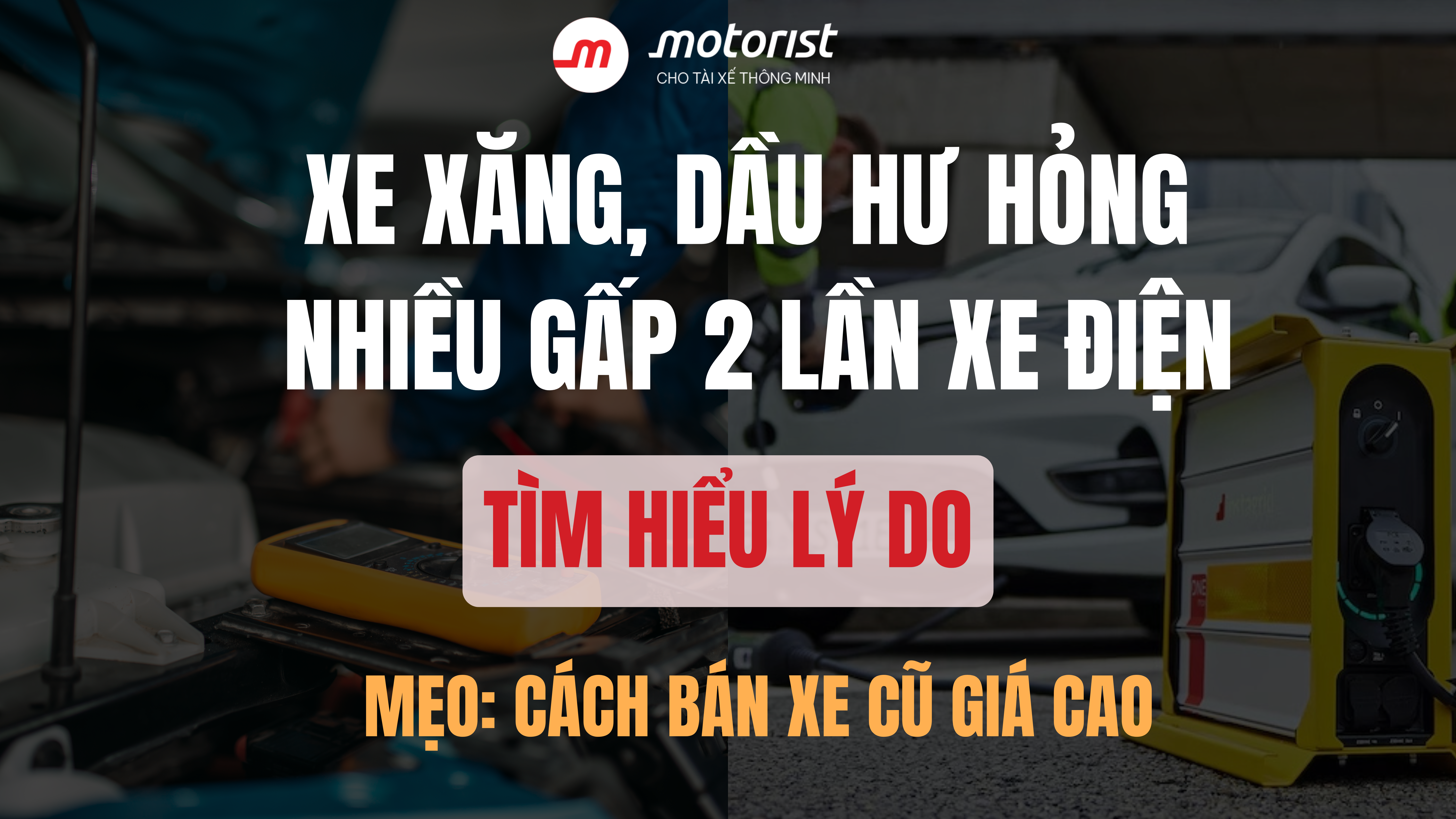 Editors%2 Fimages%2 F1745297591368 Vn+Articles+%284%29