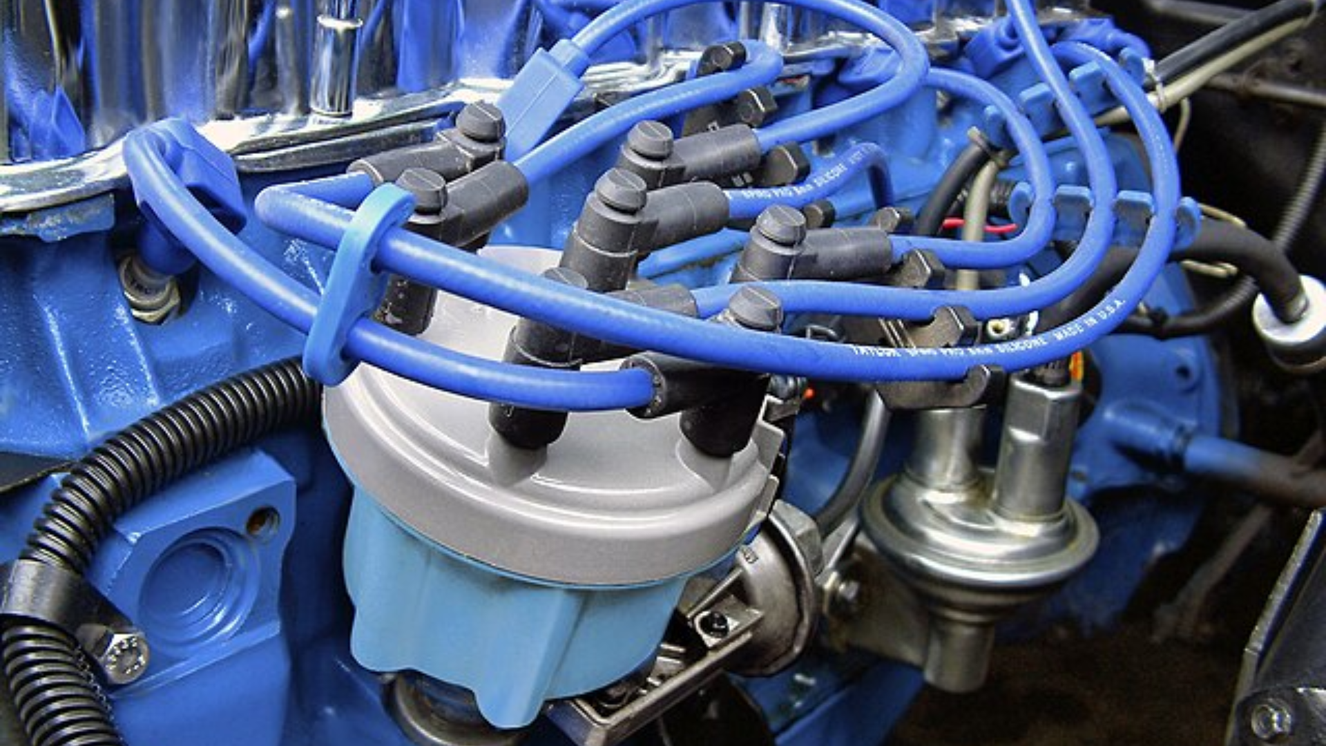 Editors%2 Fimages%2 F1746586548839 3